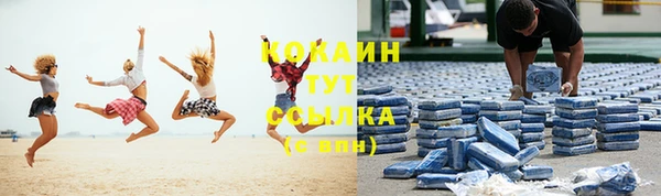 хмурый Вяземский