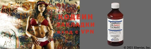 хмурый Вяземский