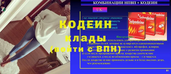 хмурый Вяземский