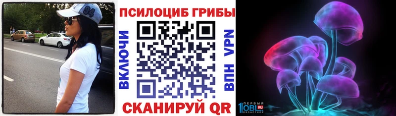 купить наркотики цена  Копейск  Псилоцибиновые грибы Psilocybine cubensis 